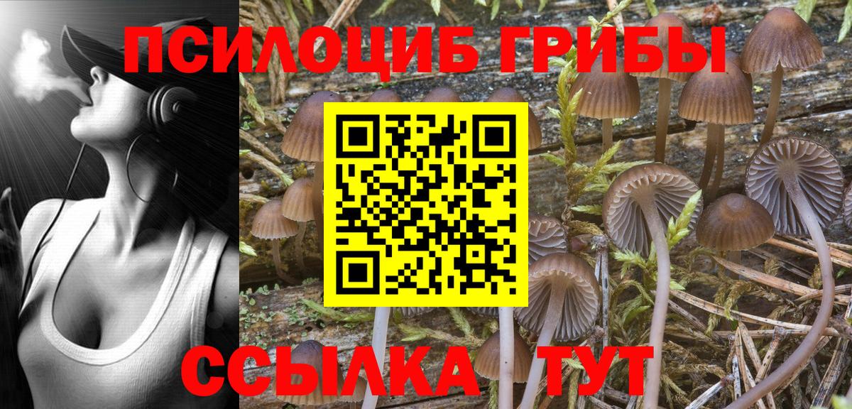 Обнинск  как найти   Вход с VPN  Псилоцибиновые грибы MAGIC MUSHROOMS 